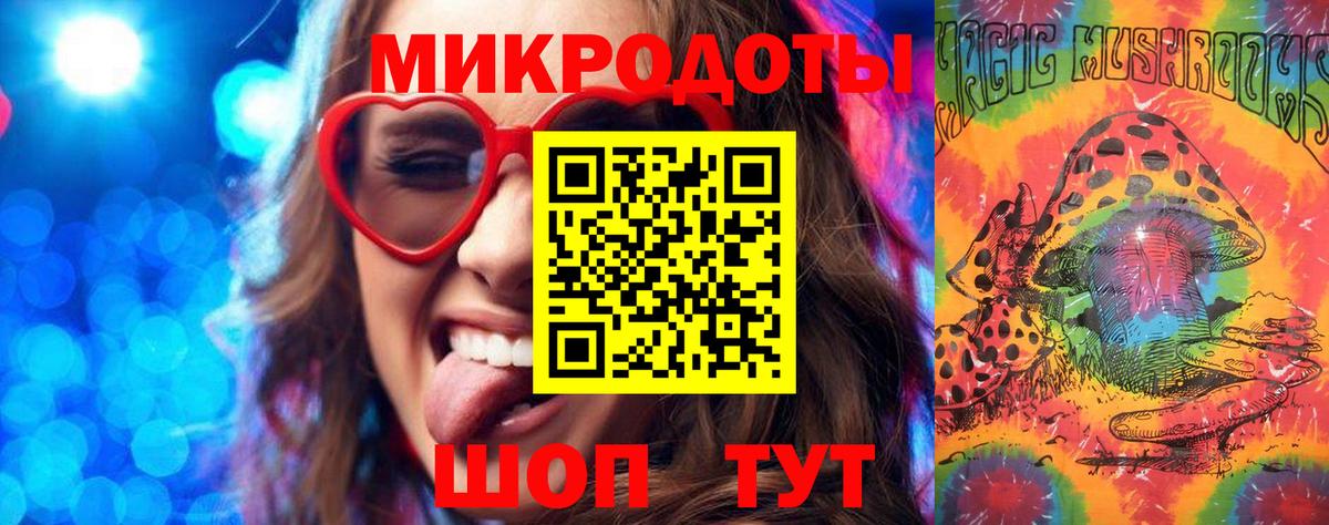 Галлюциногенные грибы Psilocybine cubensis Кисловодск