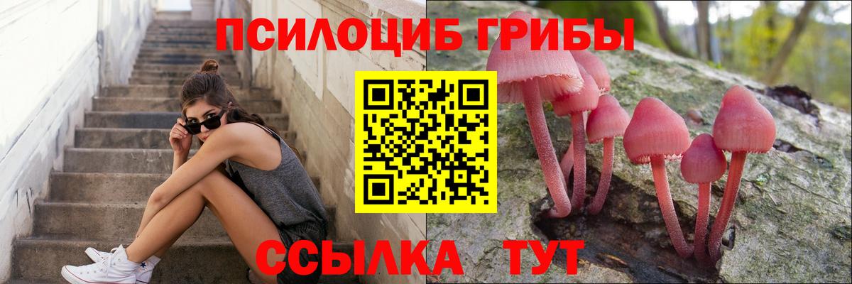 Галлюциногенные грибы Cubensis  Вход с VPN  Кисловодск 